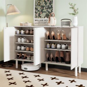 Minimalist Shoe Cabinet with 5 Solid
