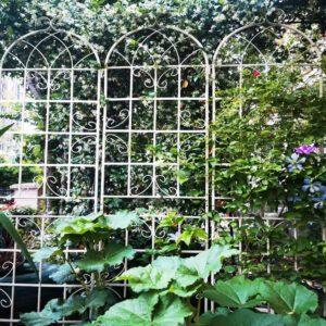 2 Pack Metal Garden Trellis 86.7"