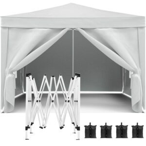 10'x10' Folding Canopy with 4 Removable